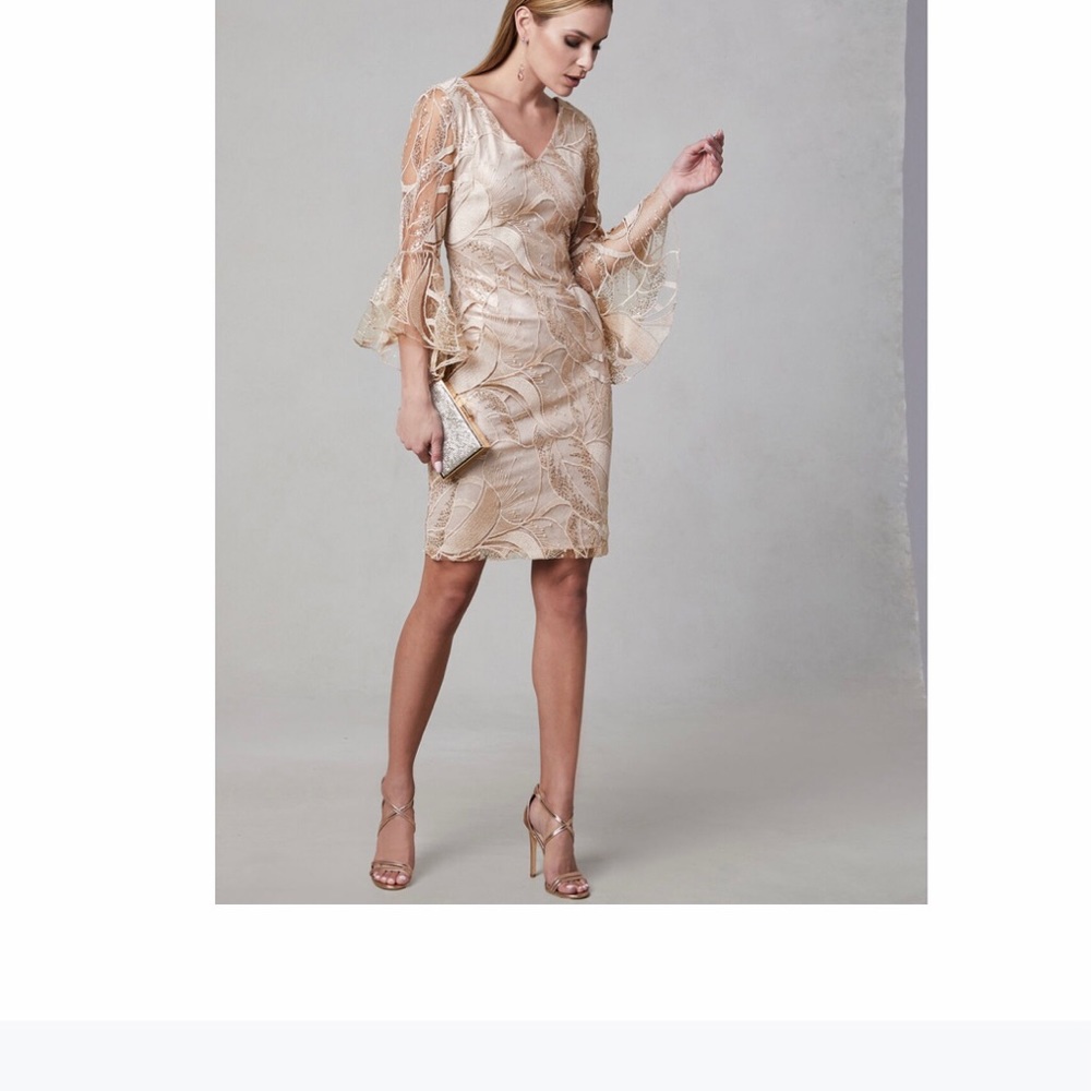 Frank Lyman champagne dress, size 12 US